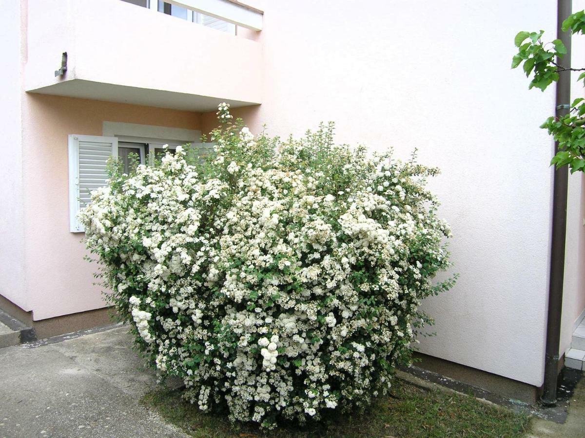 Apartments Sokolovic Krk Town Buitenkant foto